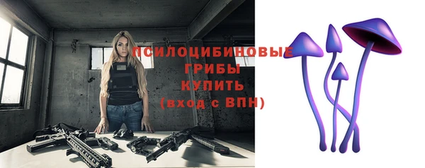 ГАЛЛЮЦИНОГЕННЫЕ ГРИБЫ Арсеньев