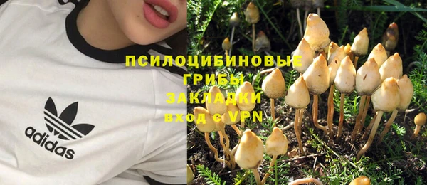 прущая мука Армянск