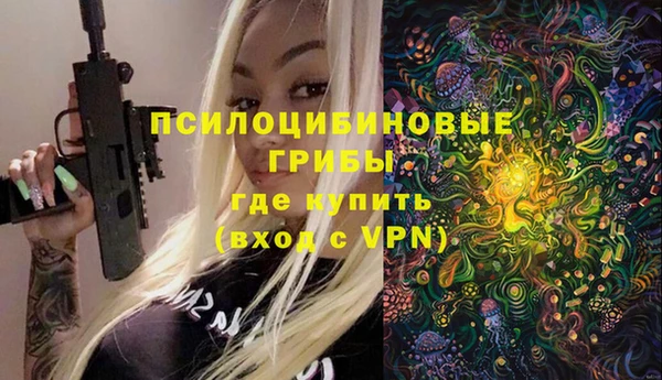 ешки Аркадак