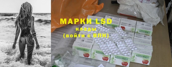 ешки Аркадак