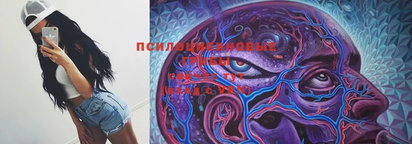 ГАЛЛЮЦИНОГЕННЫЕ ГРИБЫ Арсеньев