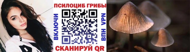 mega как войти  Ковылкино  Галлюциногенные грибы MAGIC MUSHROOMS 